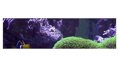 Tt Stefan Ulrich Submarine GIF preview